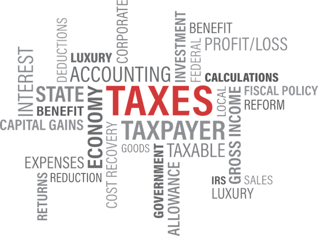 Mistakes to Avoid When Working with Business Tax Services