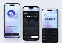 How to Use a Crypto Wallet: Hot vs. Cold Wallets Explained